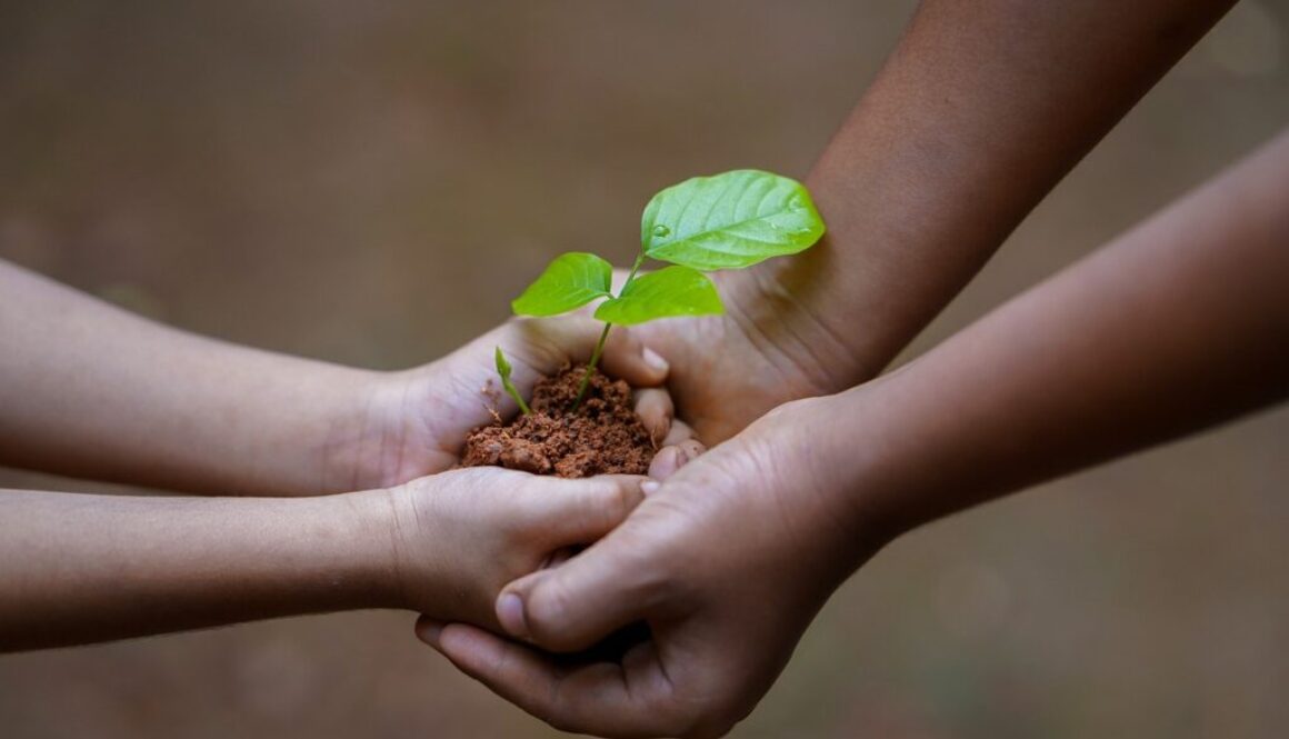 hands soil plant environment 5618240